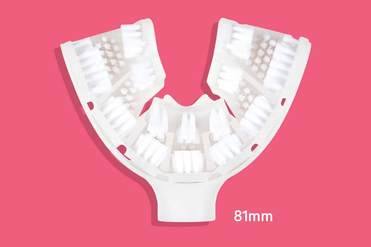 Adult Bristles Refill